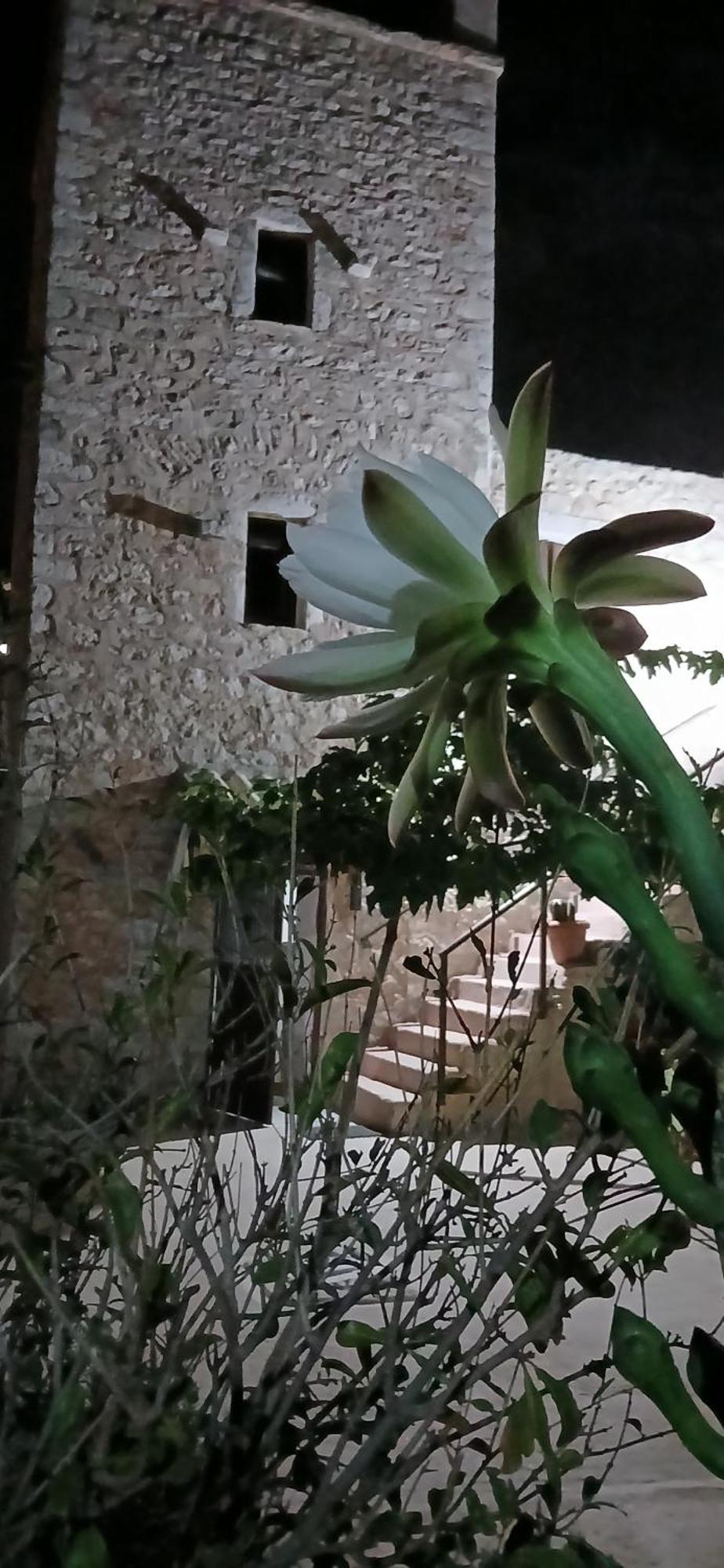 Pandera Areopoli Apartment Bagian luar foto